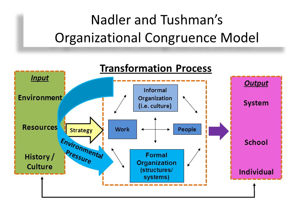 Nadler Tushman Congruence Model Essays (Examples)